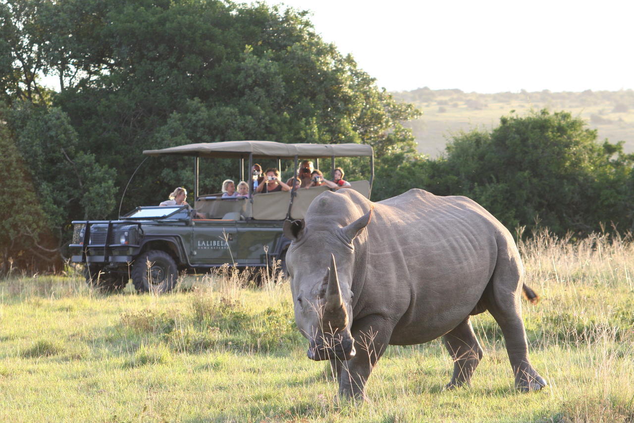 גרהמסטאון Lalibela Game Reserve Mark'S Camp מראה חיצוני תמונה