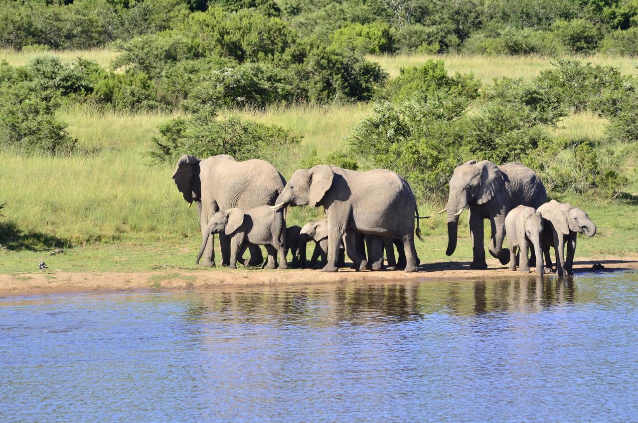 גרהמסטאון Lalibela Game Reserve Mark'S Camp מראה חיצוני תמונה