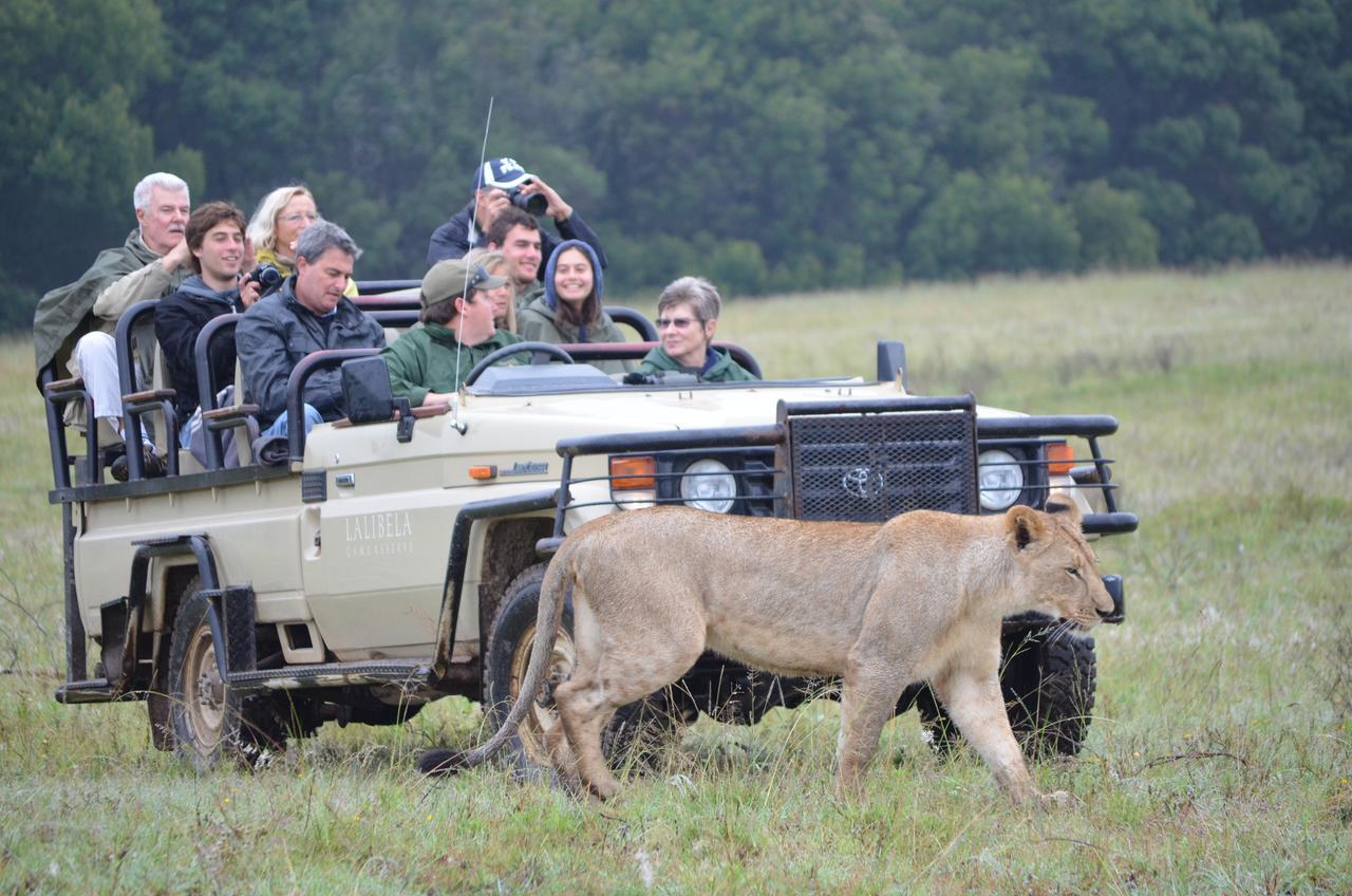 גרהמסטאון Lalibela Game Reserve Mark'S Camp מראה חיצוני תמונה