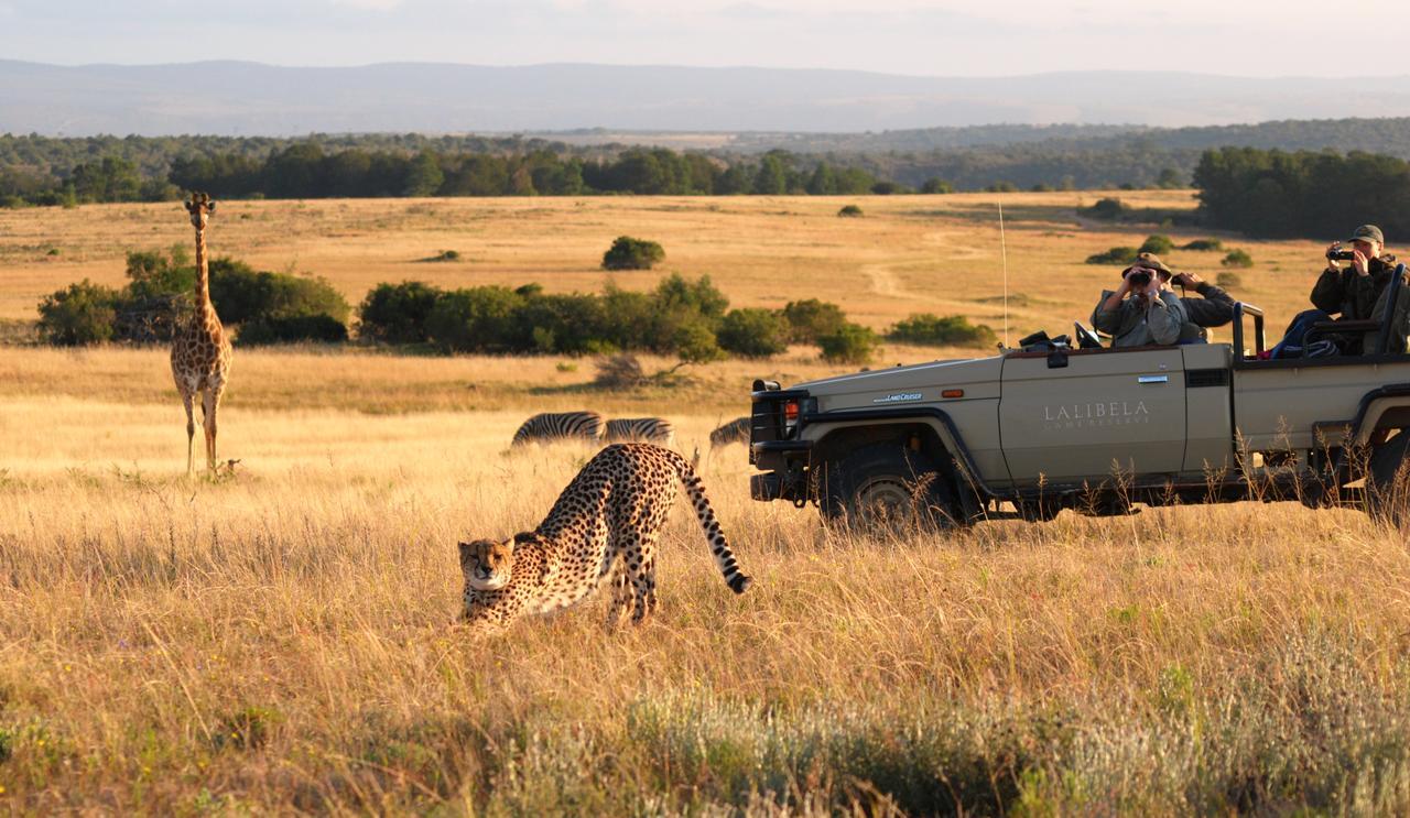 גרהמסטאון Lalibela Game Reserve Mark'S Camp מראה חיצוני תמונה