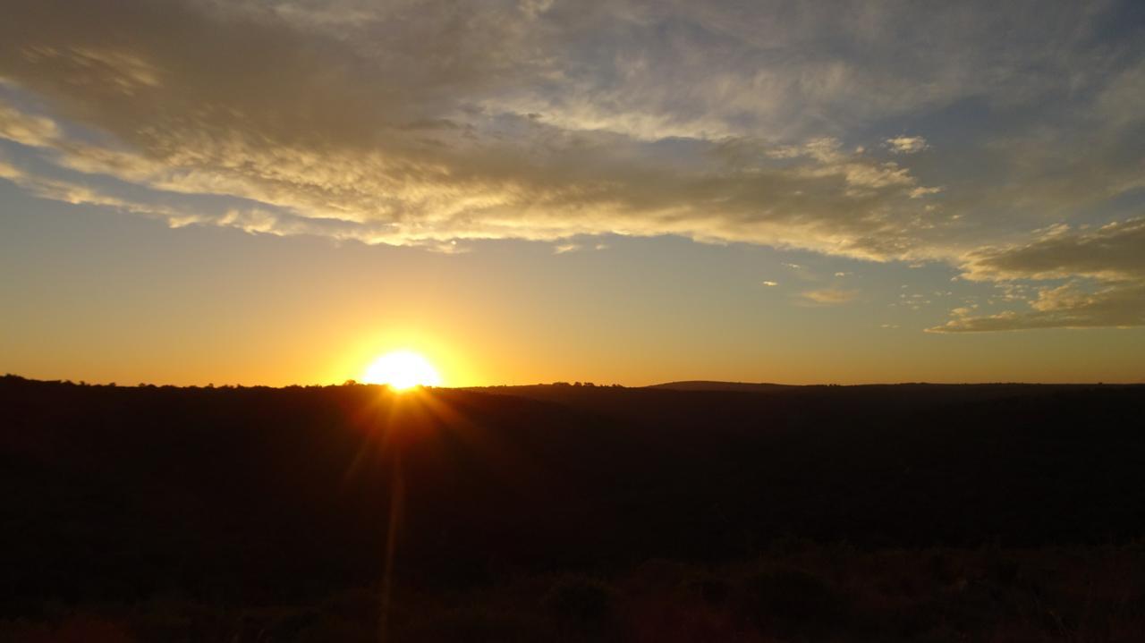 גרהמסטאון Lalibela Game Reserve Mark'S Camp מראה חיצוני תמונה